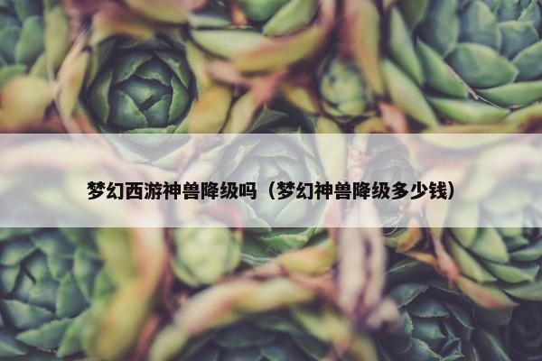 梦幻西游神兽降级吗(梦幻神兽降级多少钱) 梦幻西游神兽降级吗(梦幻神兽降级多少钱)