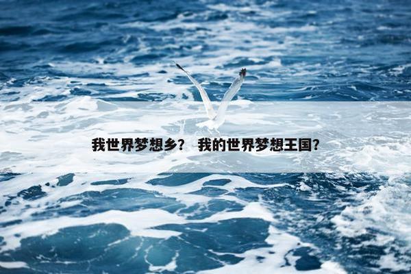 我世界梦想乡? 我的世界梦想王国? 我世界梦想乡? 我的世界梦想王国?