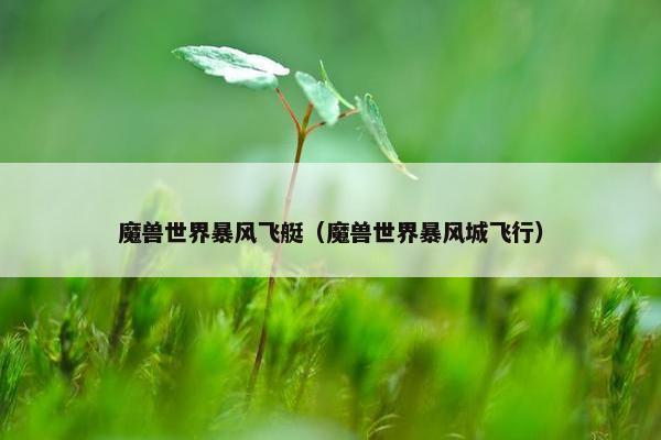 魔兽世界暴风飞艇(魔兽世界暴风城飞行) 魔兽世界暴风飞艇(魔兽世界暴风城飞行)