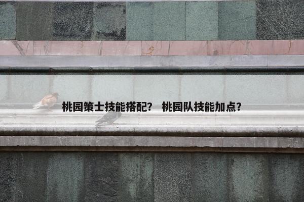 桃园策士技能搭配? 桃园队技能加点? 桃园策士技能搭配? 桃园队技能加点?