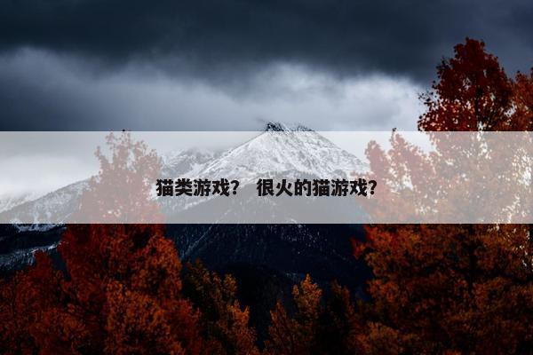 猫类游戏? 很火的猫游戏? 猫类游戏? 很火的猫游戏?