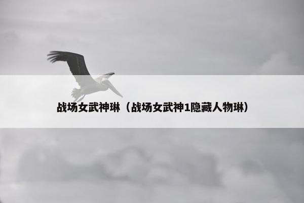 战场女武神琳(战场女武神1隐藏人物琳) 战场女武神琳(战场女武神1隐藏人物琳)