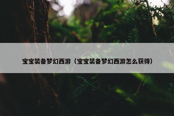 宝宝装备梦幻西游(宝宝装备梦幻西游怎么获得) 宝宝装备梦幻西游(宝宝装备梦幻西游怎么获得)