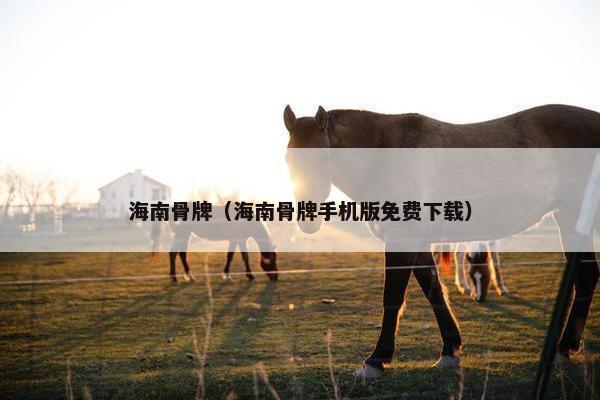 海南骨牌(海南骨牌手机版免费下载) 海南骨牌(海南骨牌手机版免费下载)