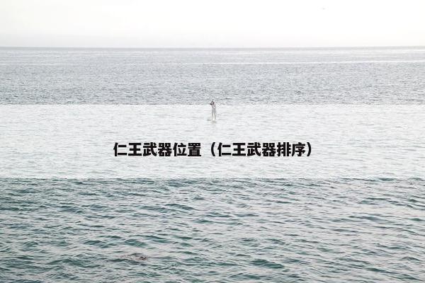 仁王武器位置（仁王武器排序）
