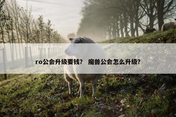 ro公会升级要钱? 魔兽公会怎么升级? ro公会升级要钱? 魔兽公会怎么升级?