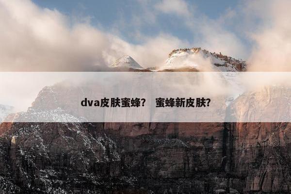 dva皮肤蜜蜂? 蜜蜂新皮肤? dva皮肤蜜蜂? 蜜蜂新皮肤?