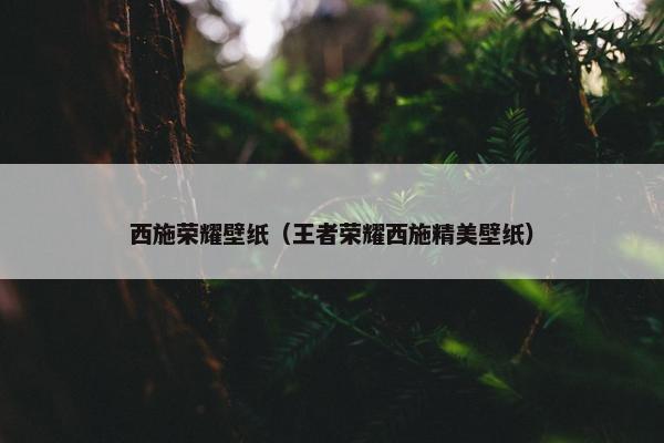 西施荣耀壁纸(王者荣耀西施精美壁纸) 西施荣耀壁纸(王者荣耀西施精美壁纸)