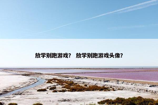 放学别跑游戏？ 放学别跑游戏头像？