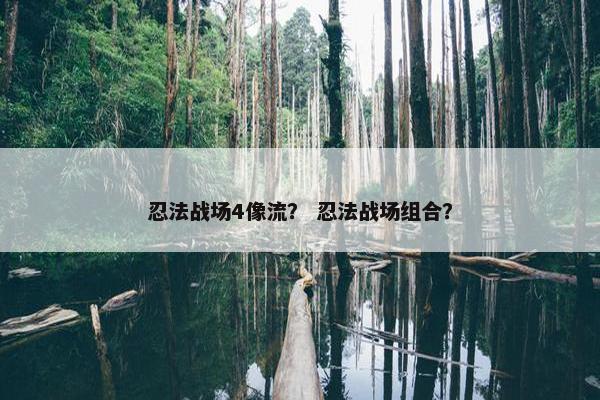 忍法战场4像流? 忍法战场组合? 忍法战场4像流? 忍法战场组合?