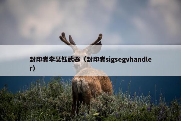 封印者李瑟钰武器（封印者sigsegvhandler）