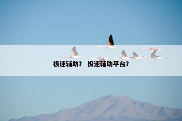 极速辅助? 极速辅助平台? 极速辅助? 极速辅助平台?