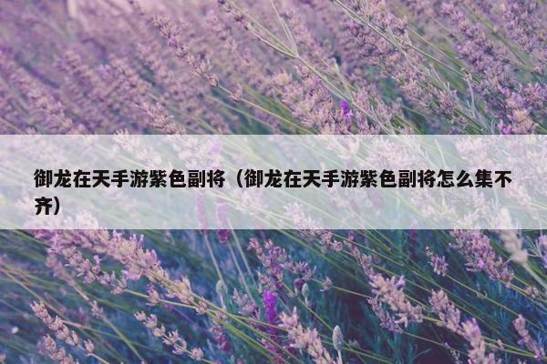 御龙在天手游紫色副将(御龙在天手游紫色副将怎么集不齐) 御龙在天手游紫色副将(御龙在天手游紫色副将怎么集不齐)