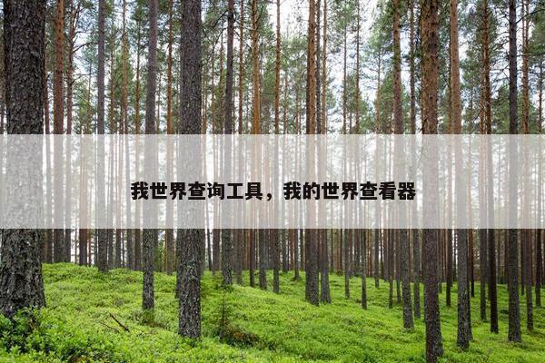 我世界查询工具,我的世界查看器 我世界查询工具,我的世界查看器