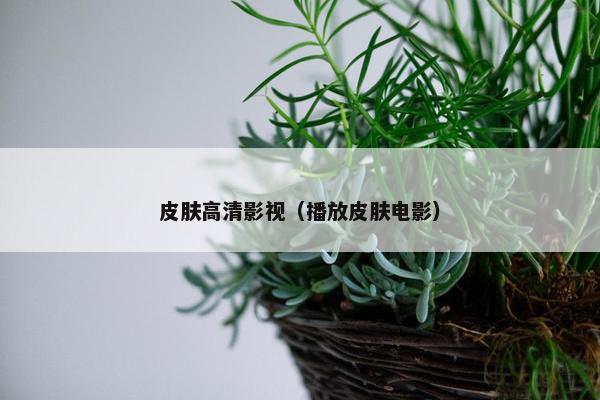 皮肤高清影视(播放皮肤电影) 皮肤高清影视(播放皮肤电影)