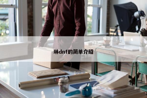 琳dnf的简单介绍