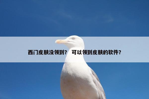 西门皮肤没领到? 可以领到皮肤的软件? 西门皮肤没领到? 可以领到皮肤的软件?