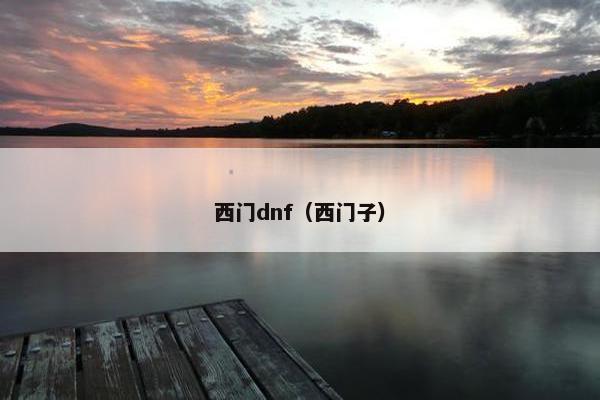 西门dnf（西门子）
