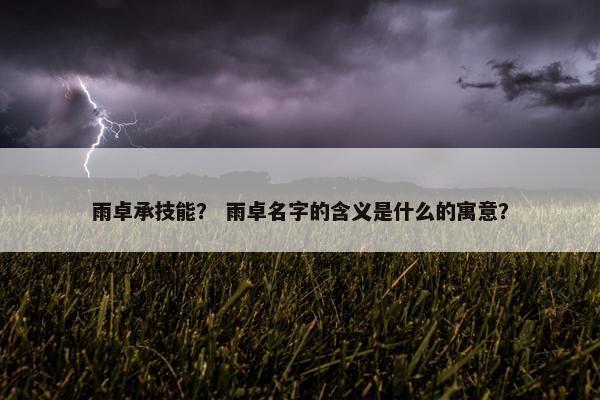 雨卓承技能？ 雨卓名字的含义是什么的寓意？