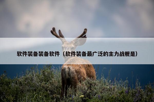 软件装备装备软件(软件装备最广泛的主力战舰是) 软件装备装备软件(软件装备最广泛的主力战舰是)