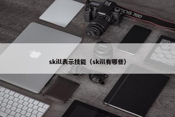 skill表示技能（skill有哪些）