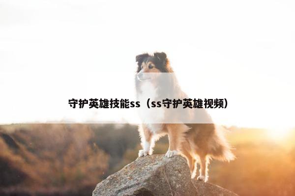 守护英雄技能ss（ss守护英雄视频）