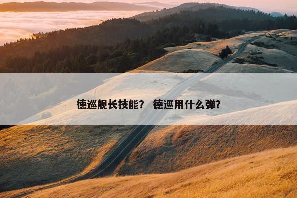 德巡舰长技能? 德巡用什么弹? 德巡舰长技能? 德巡用什么弹?