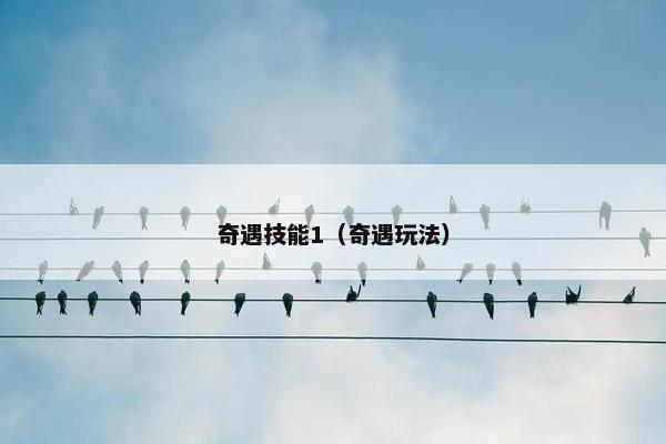 奇遇技能1（奇遇玩法）
