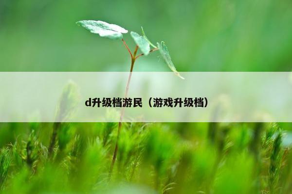 d升级档游民（游戏升级档）