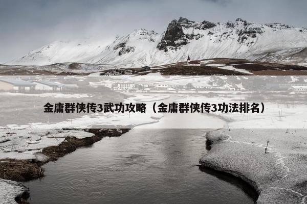 金庸群侠传3武功攻略（金庸群侠传3功法排名）