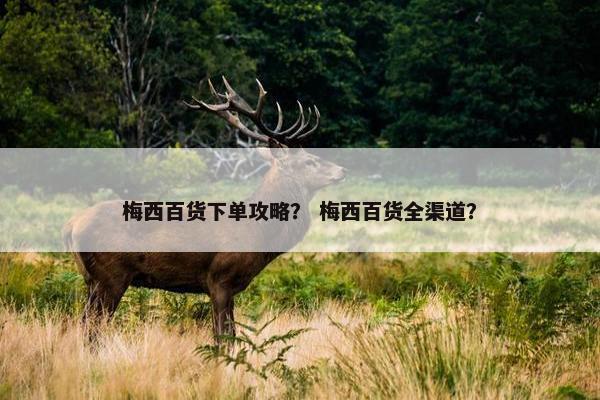 梅西百货下单攻略？ 梅西百货全渠道？