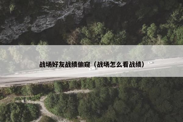 战场好友战绩偷窥(战场怎么看战绩) 战场好友战绩偷窥(战场怎么看战绩)