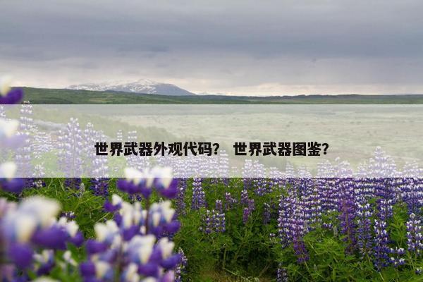 世界武器外观代码? 世界武器图鉴? 世界武器外观代码? 世界武器图鉴?
