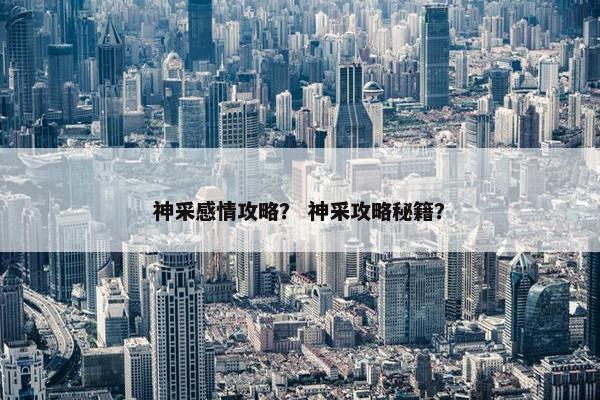 神采感情攻略？ 神采攻略秘籍？