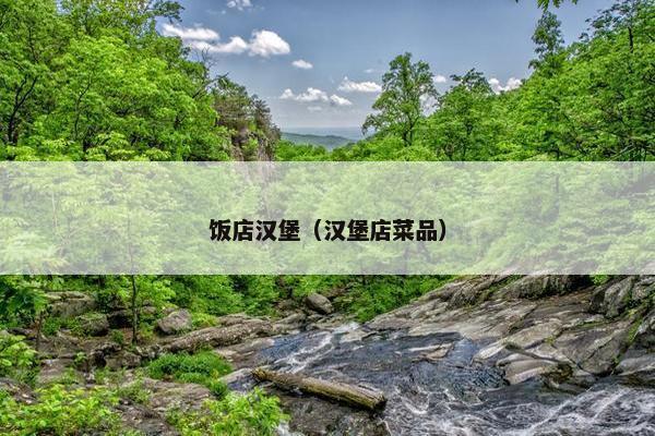 饭店汉堡（汉堡店菜品）