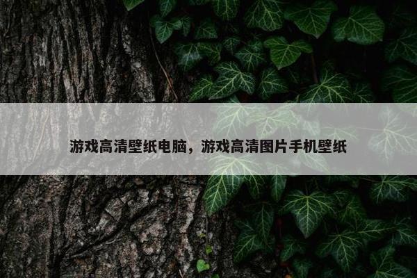 游戏高清壁纸电脑,游戏高清图片手机壁纸 游戏高清壁纸电脑,游戏高清图片手机壁纸