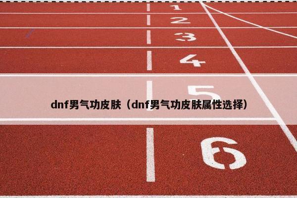 dnf男气功皮肤（dnf男气功皮肤属性选择）