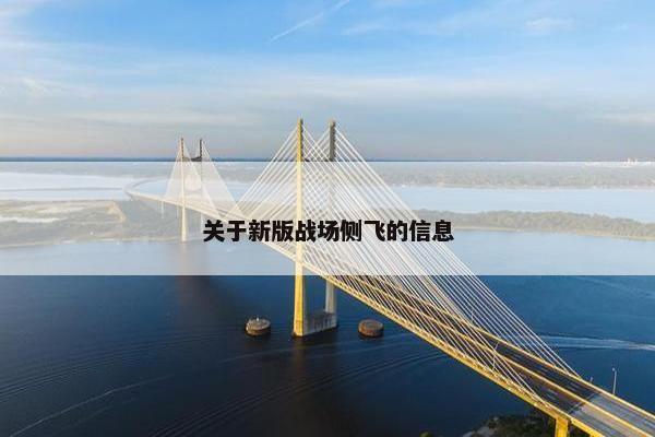 关于新版战场侧飞的信息
