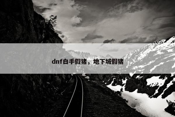 dnf白手假猪，地下城假猪