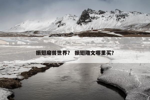 振翅魔兽世界? 振翅雕文哪里买? 振翅魔兽世界? 振翅雕文哪里买?