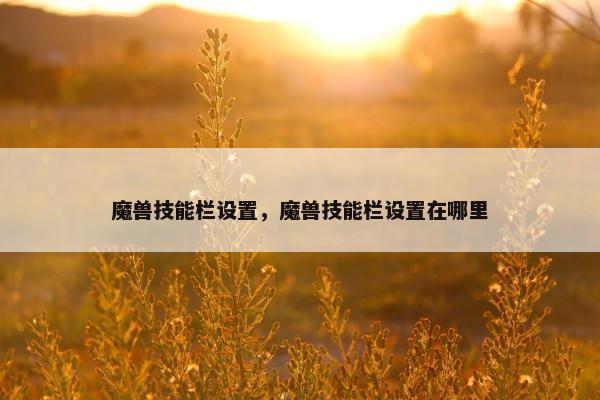 魔兽技能栏设置，魔兽技能栏设置在哪里