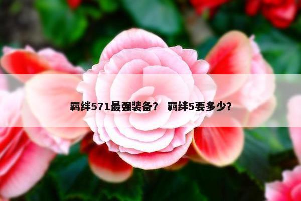 羁绊571最强装备？ 羁绊5要多少？