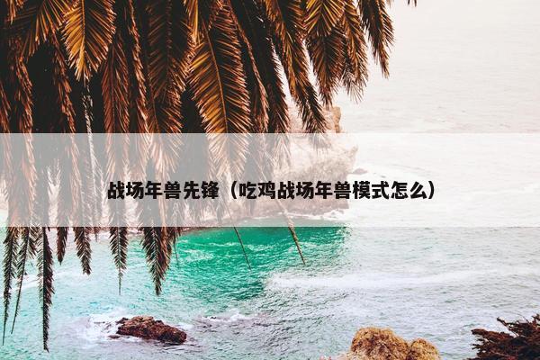 战场年兽先锋（吃鸡战场年兽模式怎么）