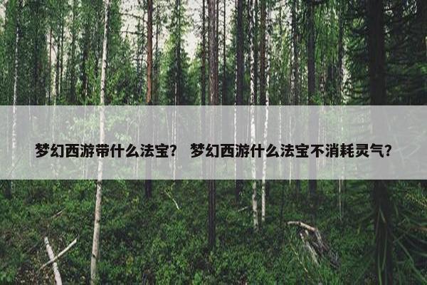 梦幻西游带什么法宝？ 梦幻西游什么法宝不消耗灵气？
