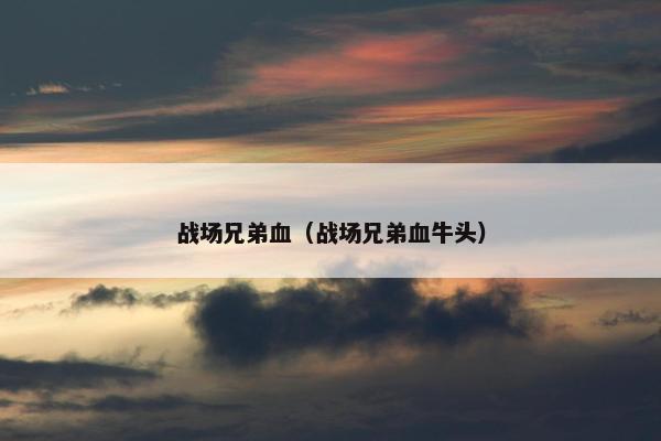 战场兄弟血（战场兄弟血牛头）