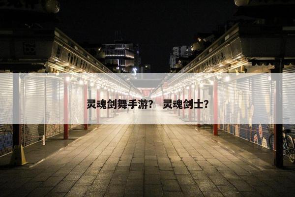 灵魂剑舞手游？ 灵魂剑士？