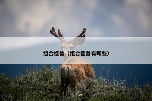 组合怪兽（组合怪兽有哪些）