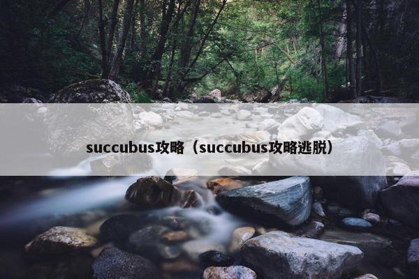 succubus攻略（succubus攻略逃脱）