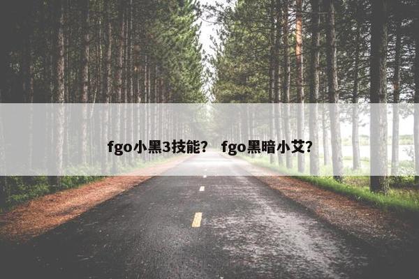 fgo小黑3技能？ fgo黑暗小艾？