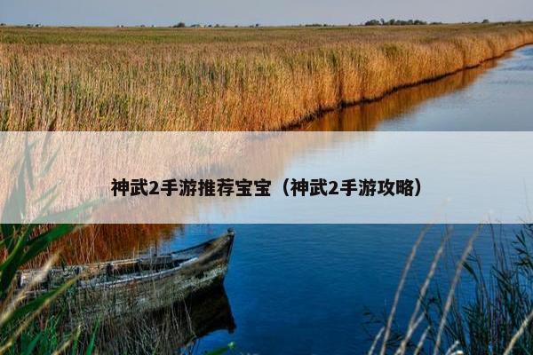 神武2手游推荐宝宝（神武2手游攻略）